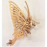 Butterfly 3D