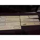 Bookmark