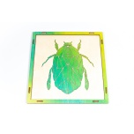 Mosaic puzzle Beetle KP14V