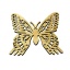 Picture ''Butterfly'' Small P01