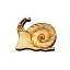 Magnet "Snail" Small