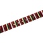 Belt for women Nissi
