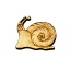 Magnet "Snail" Small